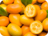 Kumquat